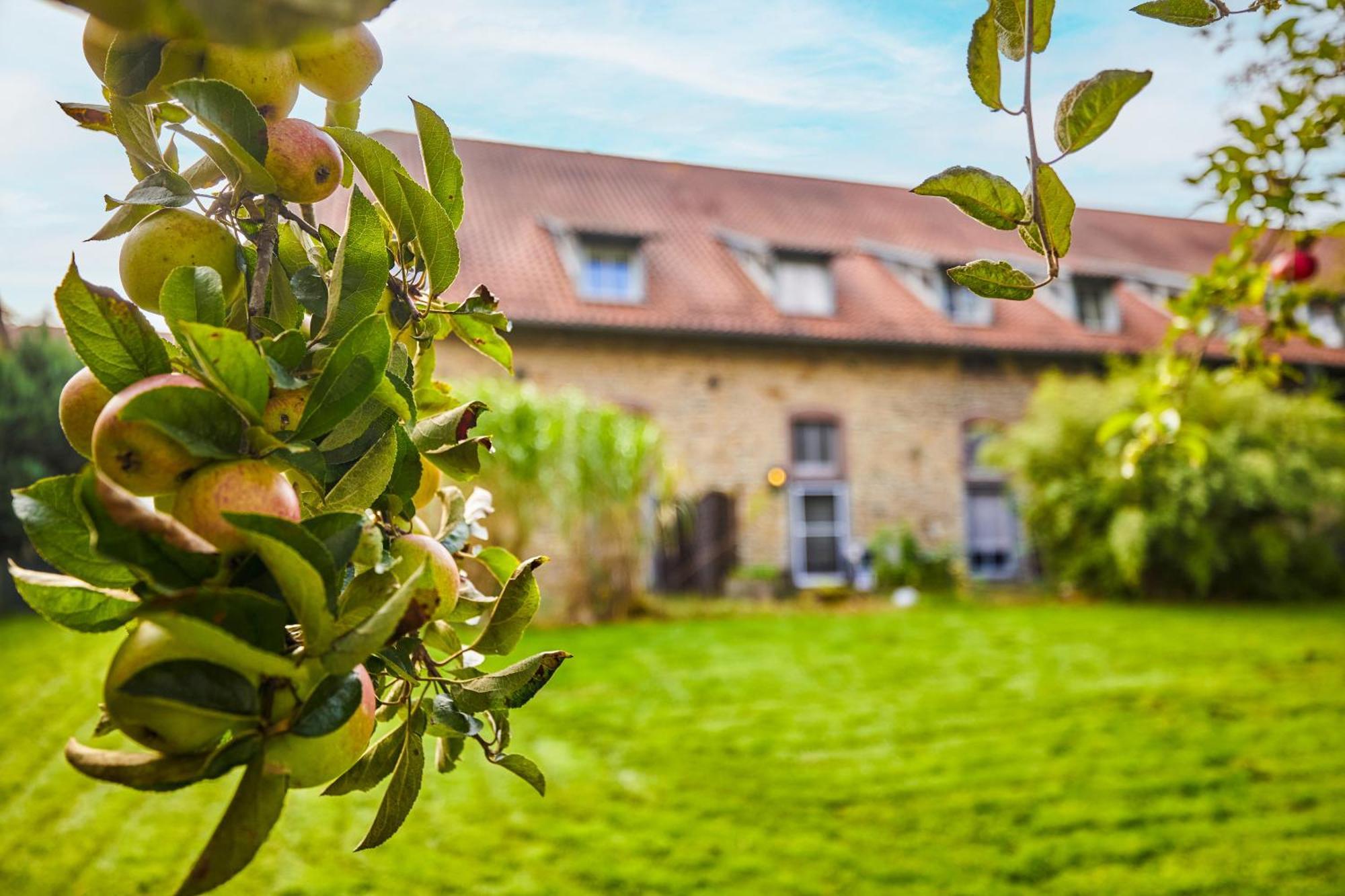 Landhaus Schieder Екстер'єр фото
